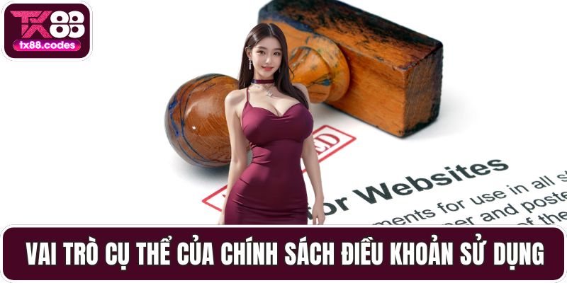 Vai trò cụ thể của chính sách điều khoản sử dụng